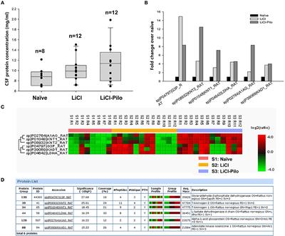 Kininogen Level in the Cerebrospinal Fluid May Be a Potential Biomarker for Predicting Epileptogenesis